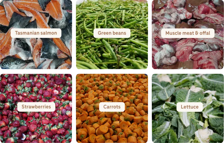 Raw ingredients including Tasmanian salmon, green beans, muscle meat, offal, strawberries, carrots and lettuce