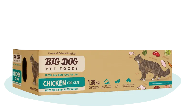 Chicken Raw Cat Food