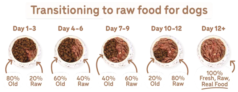 transitioning to raw food for dogs