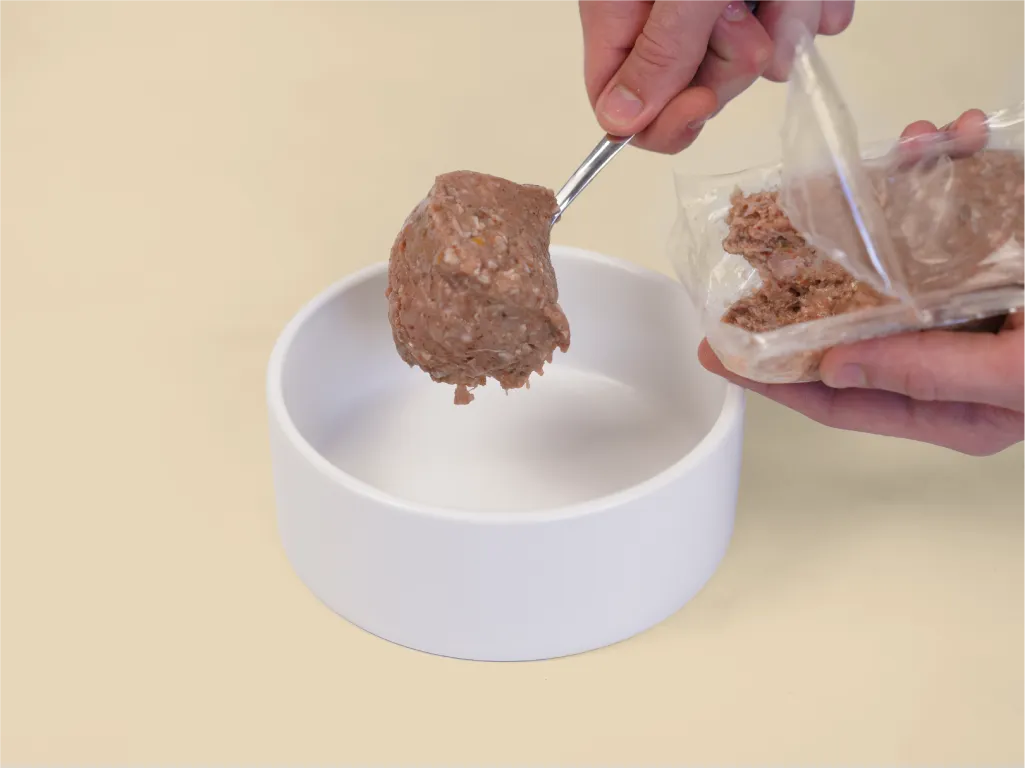Hand spoon a patty of Turducken Raw Dog Food into a bowl.