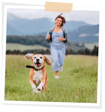 woman running with beagle dog