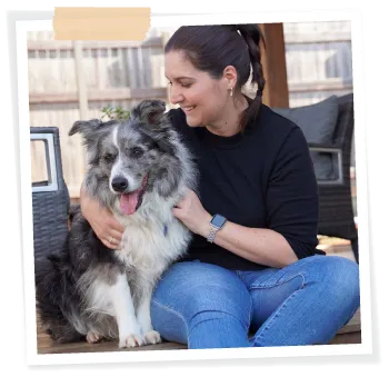 cuddling border collie dog