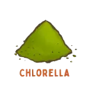An illustration of chlorella with the word Chlorella on top.