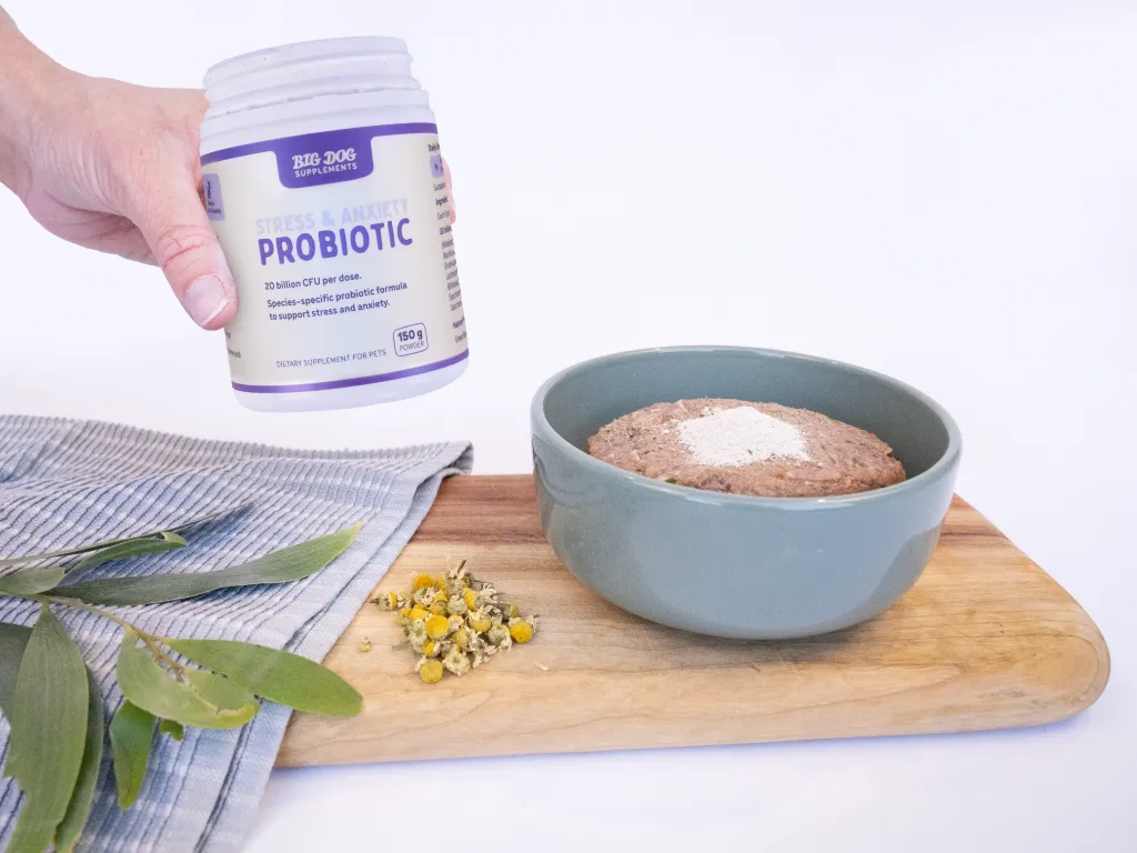 A hand holds a jar of Stress and Anxiety Probiotic next to a bowl of dog food that has some of the probiotic sprinkled on top.
