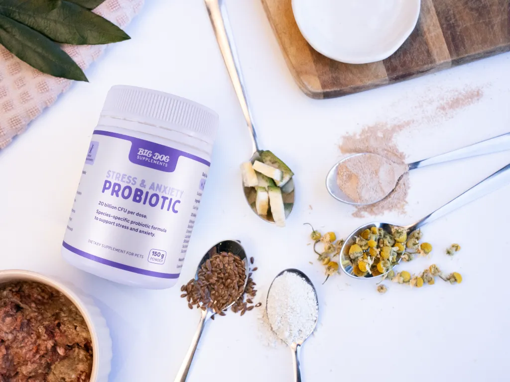 A jar of Stress and Anxiety probiotic lies on a table next to some spoons of the ingredients included within it.