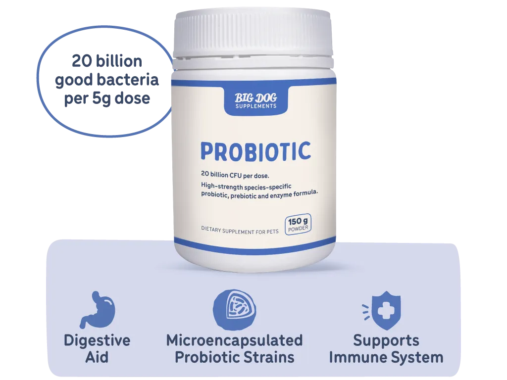 A jar of Natural Probiotics for Pets with some of the benefits highlighted.