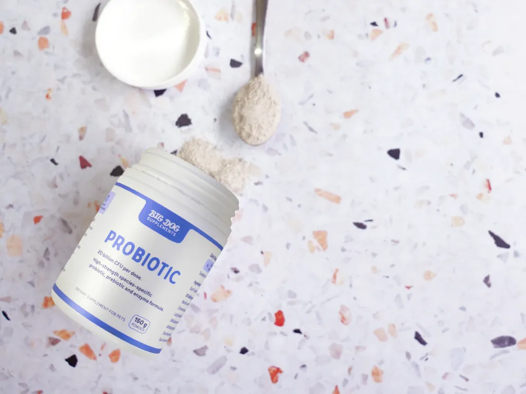 An open jar of Natural Probiotics for pets with a spoon full of the supplement next to it.