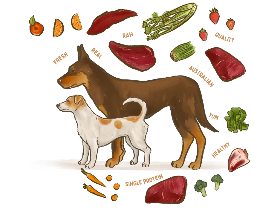 An illustration of two dogs surrounded by the healthy ingredients used in Big Dog Pet Foods.