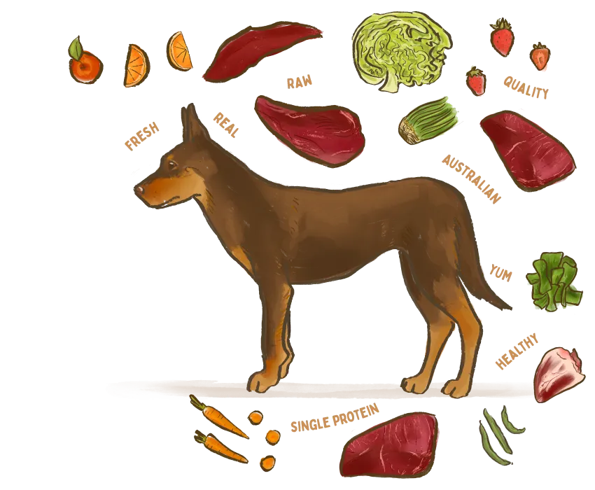 An illustration of a dog surrounded by the healthy ingredients used in Big Dog Pet Foods.