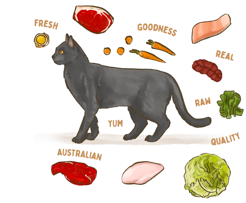 A cat surrounded by Big Dog Pet Foods' healthy ingredients.