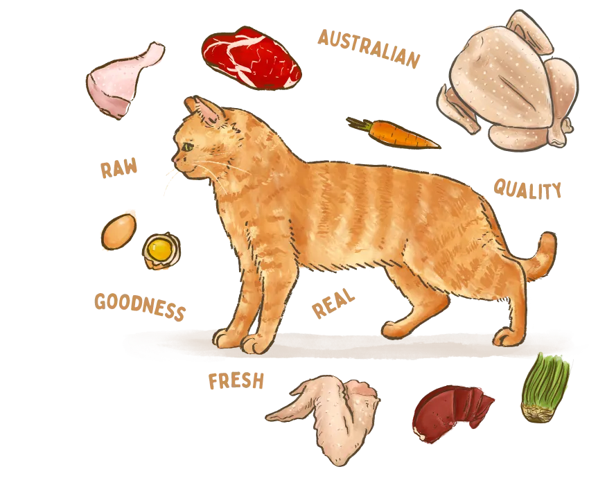 A cat surrounded by Big Dog Pet Foods' healthy ingredients.