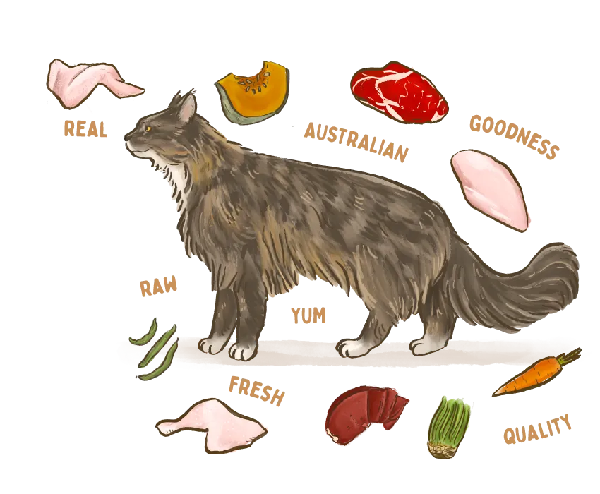 A cat surrounded by Big Dog Pet Foods' healthy ingredients.