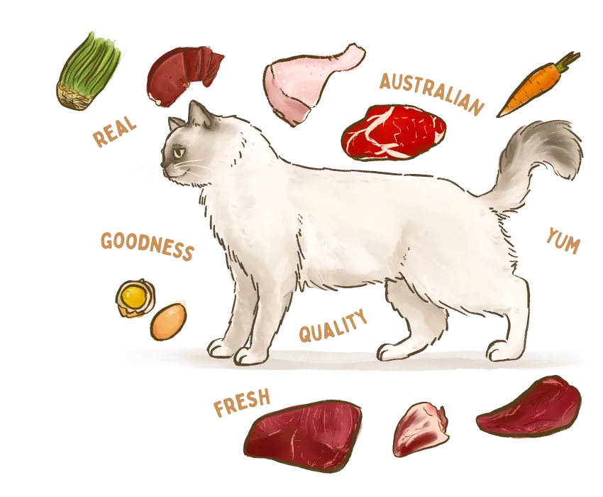 A cat surrounded by Big Dog Pet Foods' healthy ingredients.