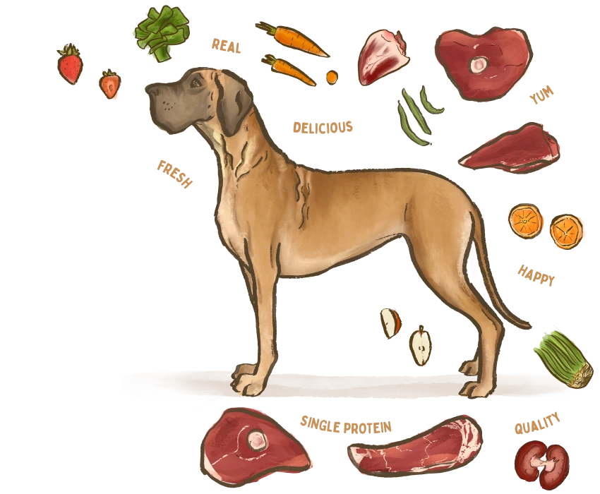 A large dog surrounded by the healthy ingredients used in Big Dog Pet Foods.