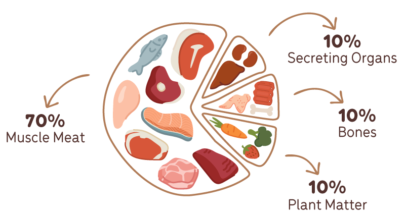 An illustration of a plate showing 0% meat, 10% offal, 10% crushed bones, and 10% plant matter.