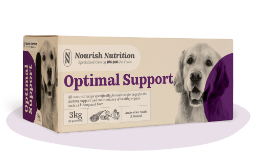 A box of Nourish Nutrition Optimal Support Big Dog Pet Foods raw dog food.