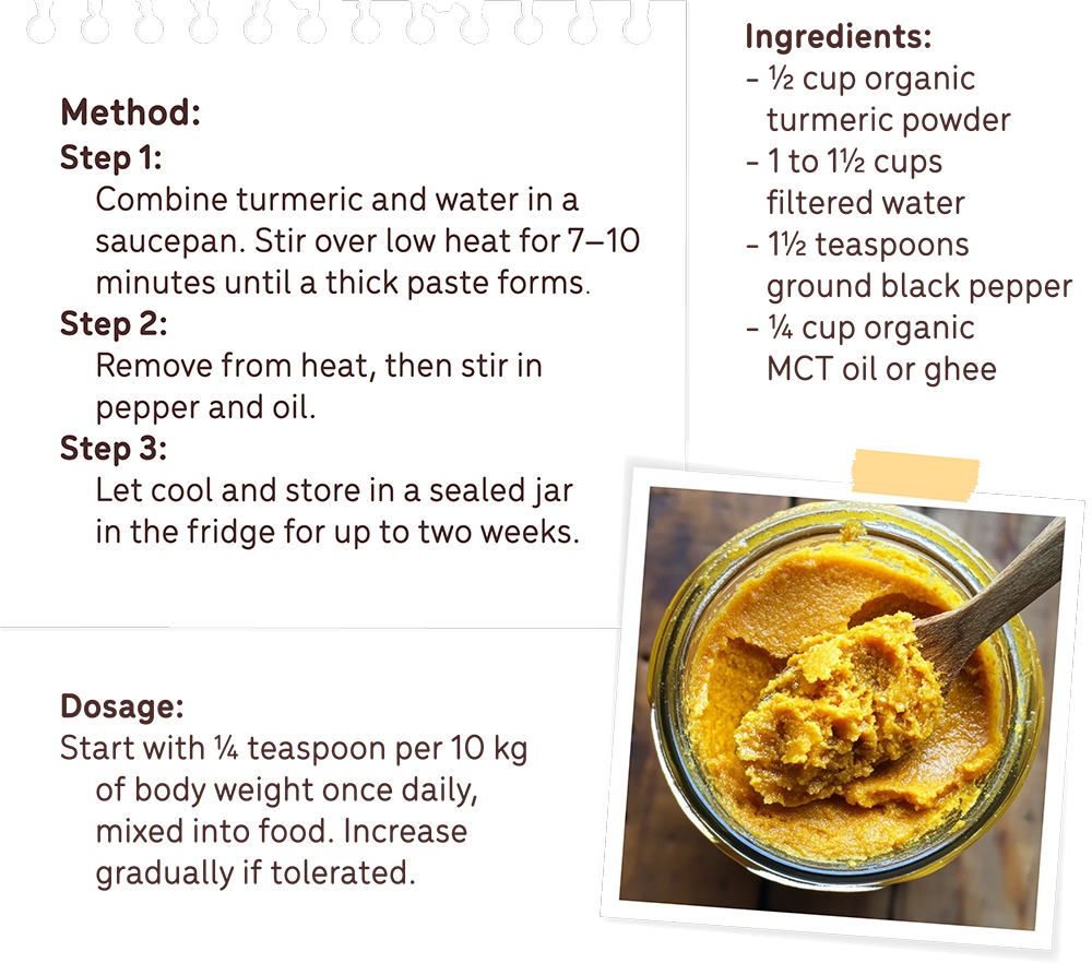 A recipe image on how to make golden paste for dogs