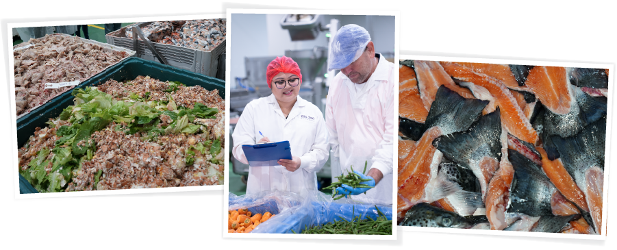 Minced eggshells and lettuce, carrots, green beans and Tasmanian salmon with production staff in hair nets and lab coats checking produce quality
