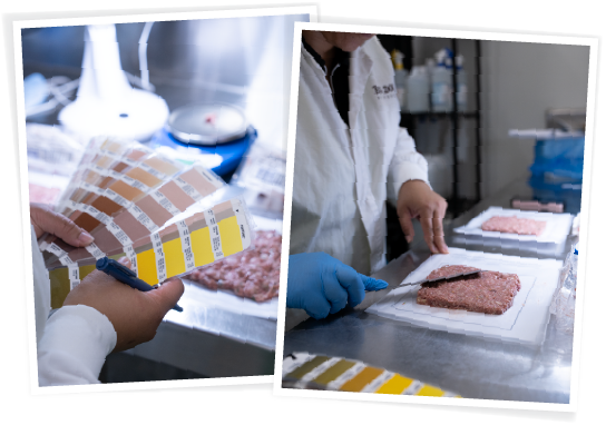 QA team checking colour, consistency and smell of Big Dog Pet Foods products