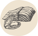 illustration of salmon and green lipped mussel