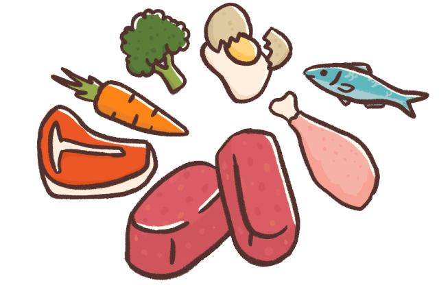 Illustration of Big Dog patties surrounded by fresh ingredients such as meat, vegetables, fish and egg