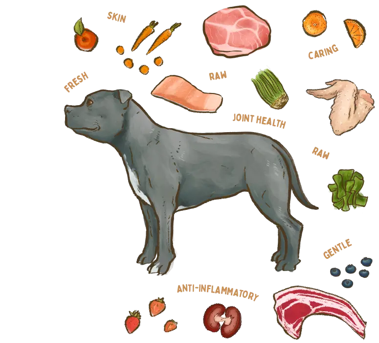illustration of a Staffie dog breed surrounded by fresh ingredients