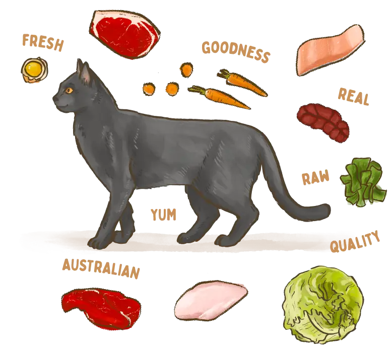 illustration of a Bombay Black cat breed surrounded by fresh ingredients