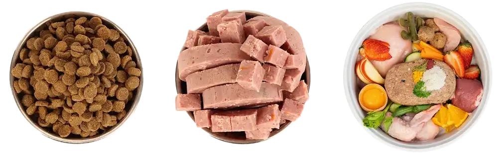 Three bowls of dog food - Kibble vs canned/cooked roll vs raw