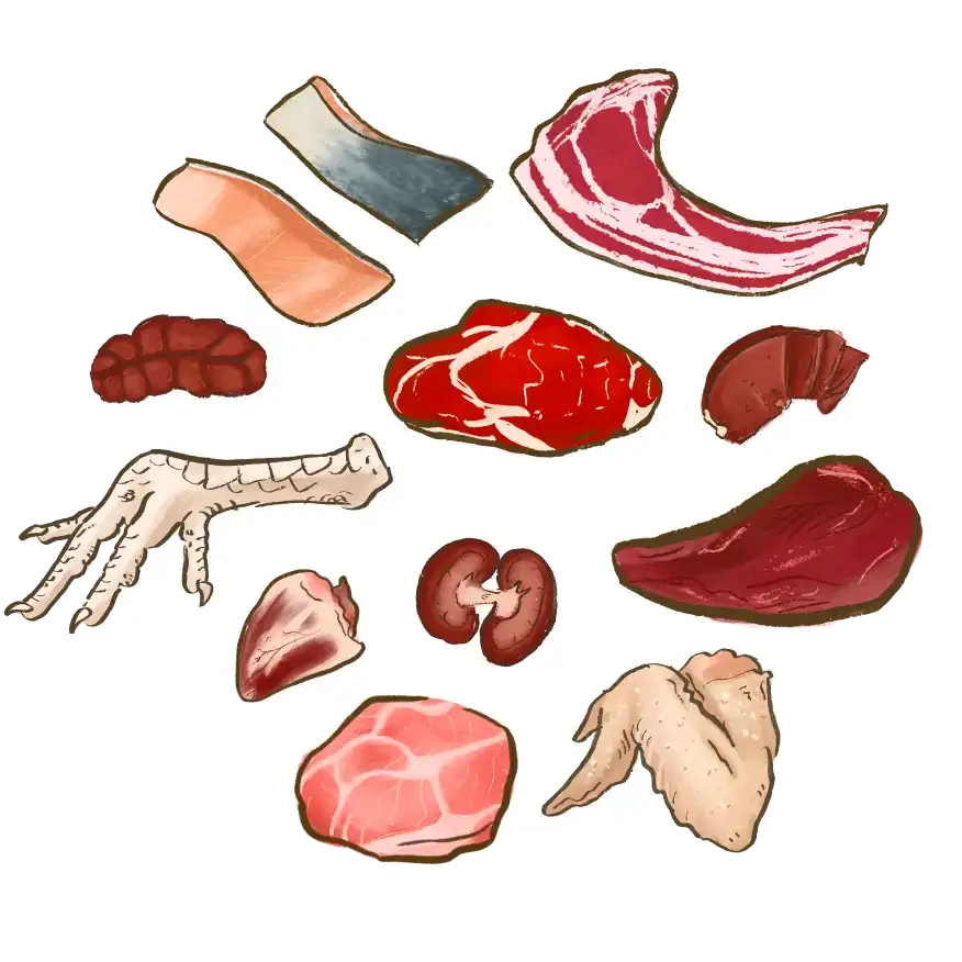 illustration of fresh meat, bone and offal ingredients including Tasmanian salmon, lamb, liver, kidney, beef, chicken foot, kangaroo, heart, pork and turkey wing