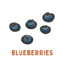 Blueberries