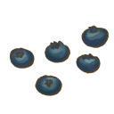 Blueberries