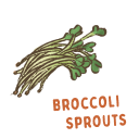 Broccoli sprouts