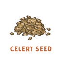 Celery seed