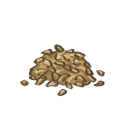 Celery seed