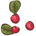 Cranberries