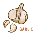 Garlic