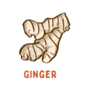 Ginger