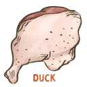 Duck