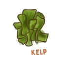 Kelp