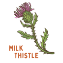 Milk thistle