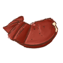 Liver
