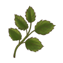 Nettle