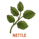 Nettle
