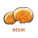 Resihi mushroom