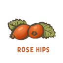 Rosehips