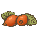 Rosehips