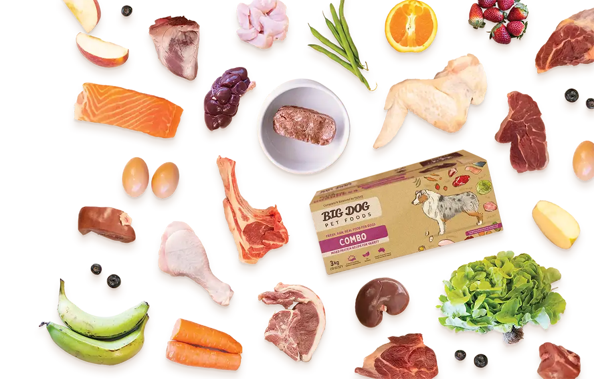 An overhead view of the healthy ingredients used in Big Dog Pet Food.