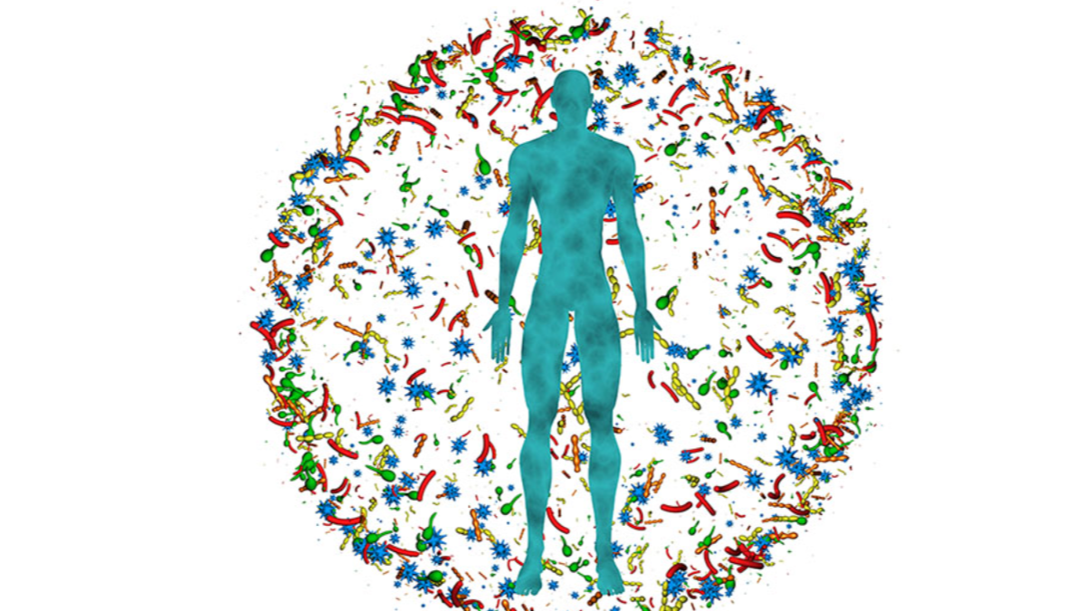 How the Microbiome Influences Immune Function