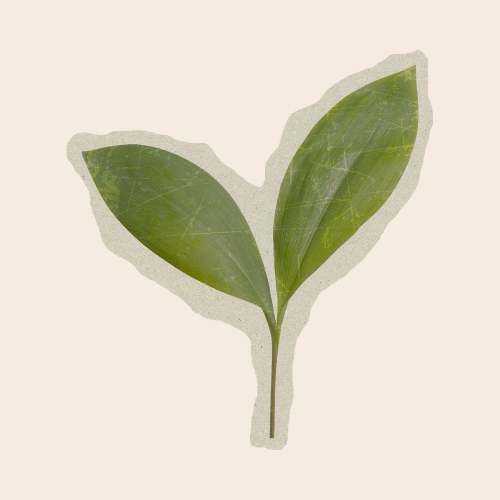 Logo with sprouting leaves