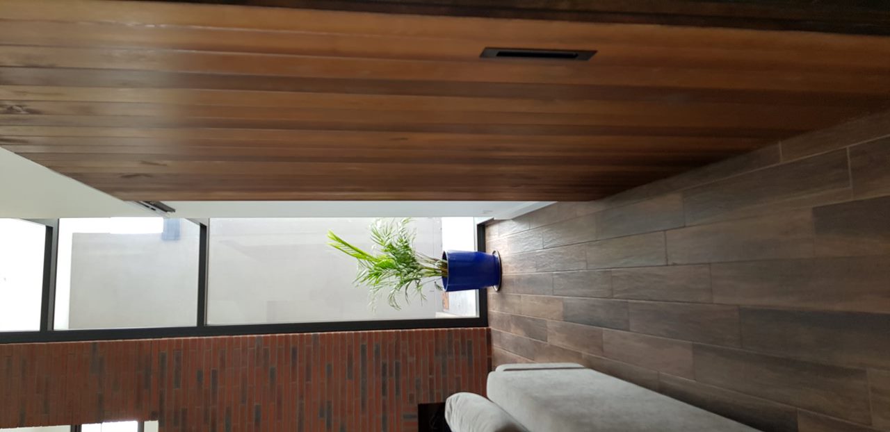 Indoor space with wooden floor, white couch, wooden door, and green plant in blue pot by a tall window.